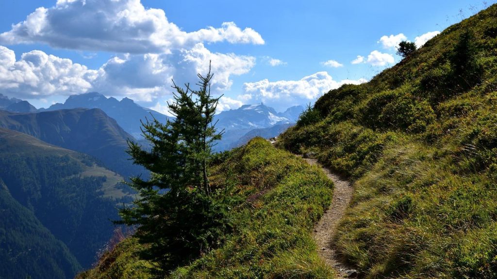 Panoramisch uitzicht over de wandelroutes in Bergen op Zoom met bossen, heidevelden en schilderachtig landschap